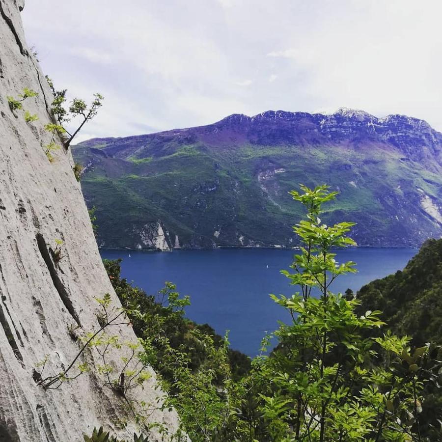 Appartamento Olea Arco Zewnętrze zdjęcie