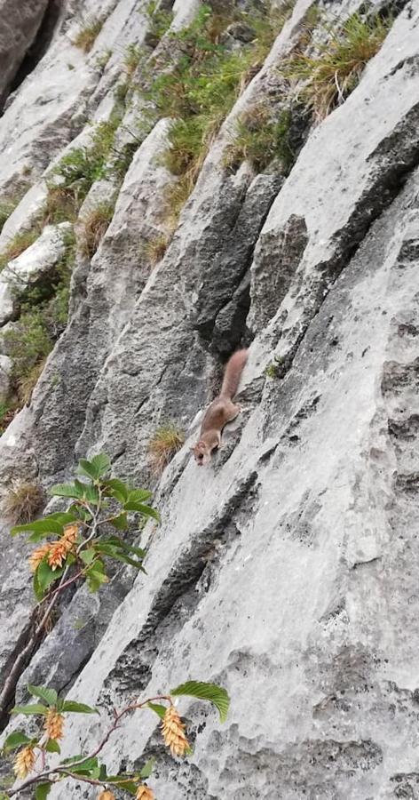 Appartamento Olea Arco Zewnętrze zdjęcie